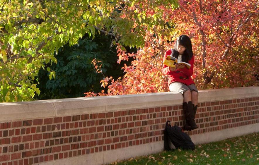 student studying on wall