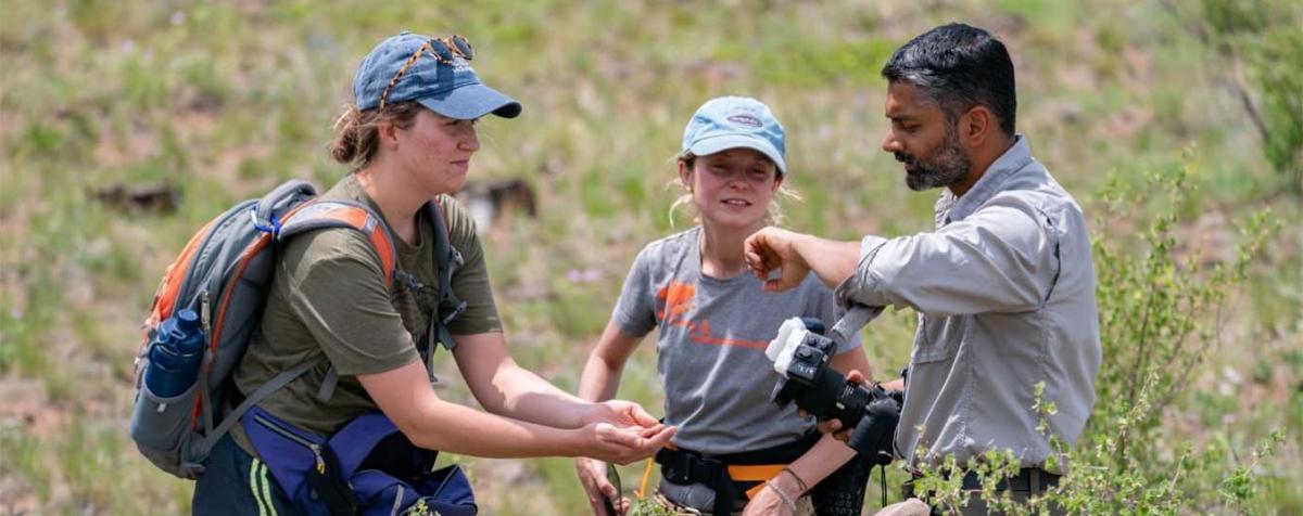 three researchers in the field